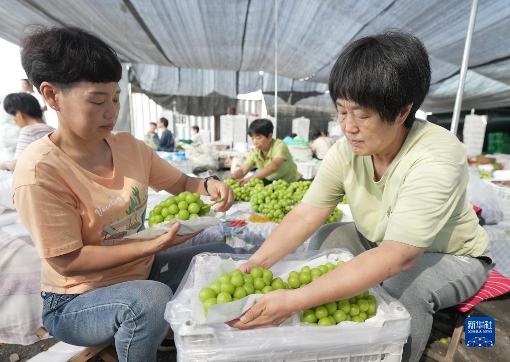 泊利娱乐登录链接